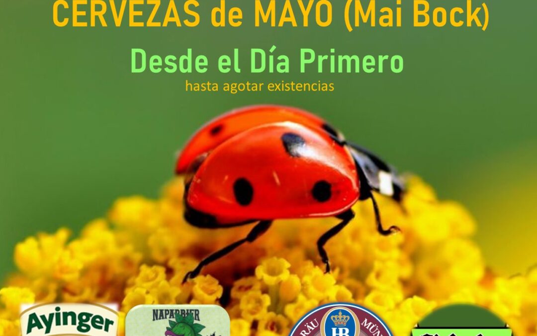 Cervezas de Mayo en La MAripepa